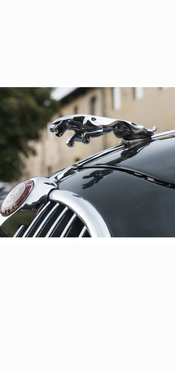 ANY🍀いつもありがとう tweet media