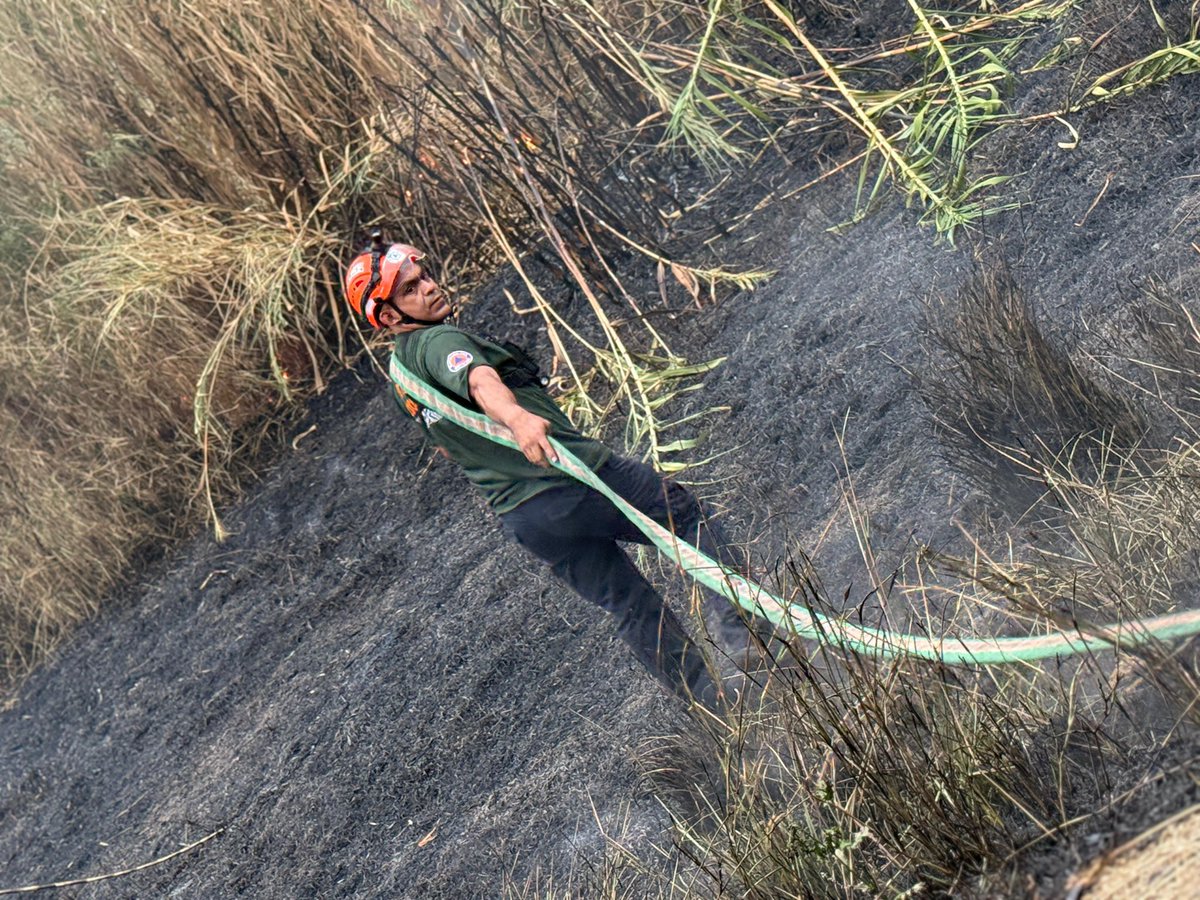 Protección Civil - Oaxaca de Juárez tweet media