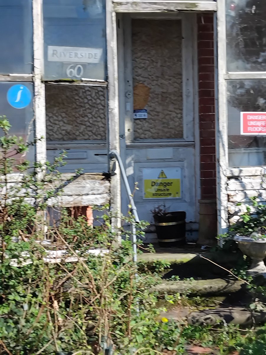 AdamthePatriot(toffee) tweet media