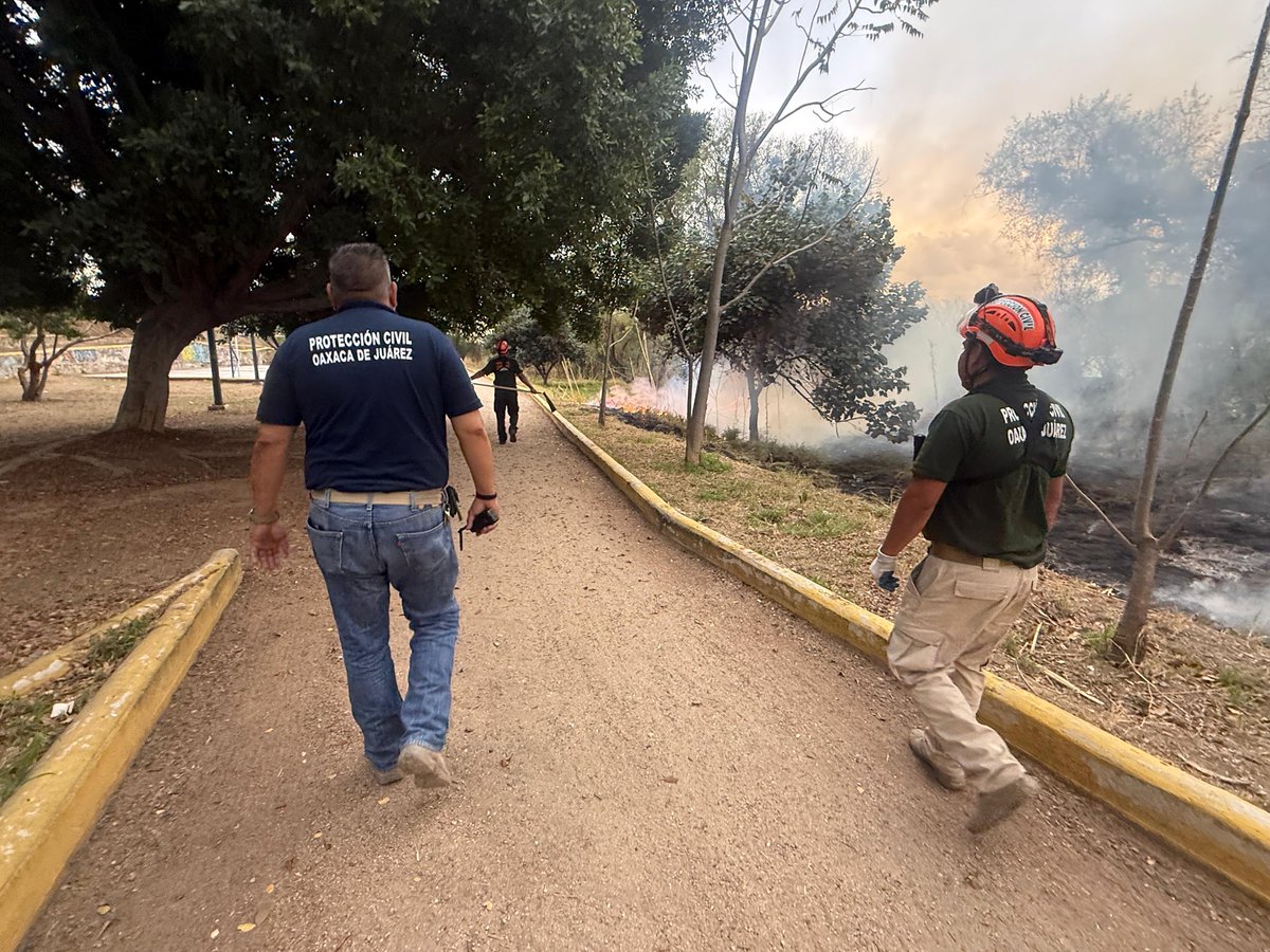 Protección Civil - Oaxaca de Juárez tweet media