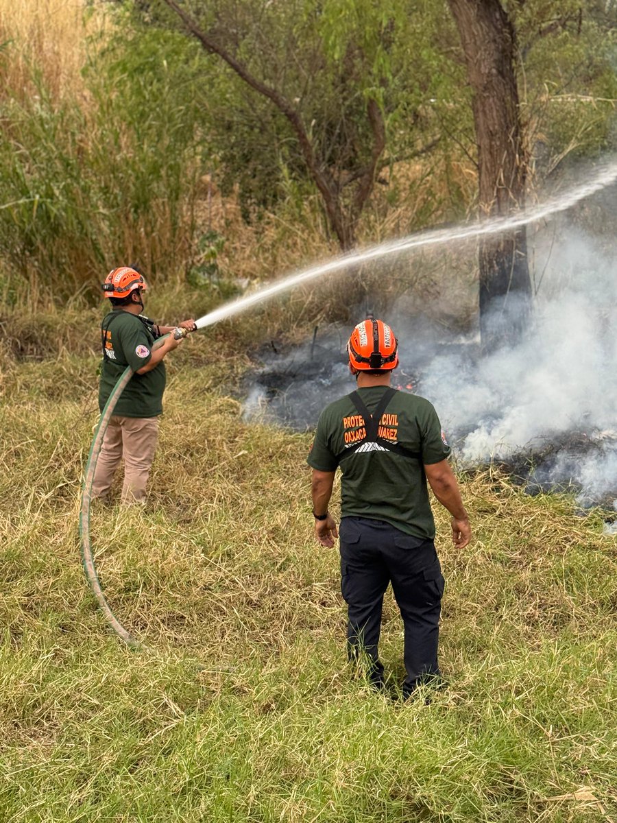 Protección Civil - Oaxaca de Juárez tweet media