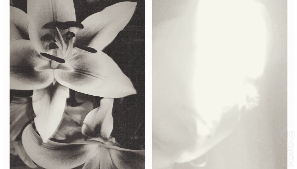 lils ໒꒱ིྀ tweet media