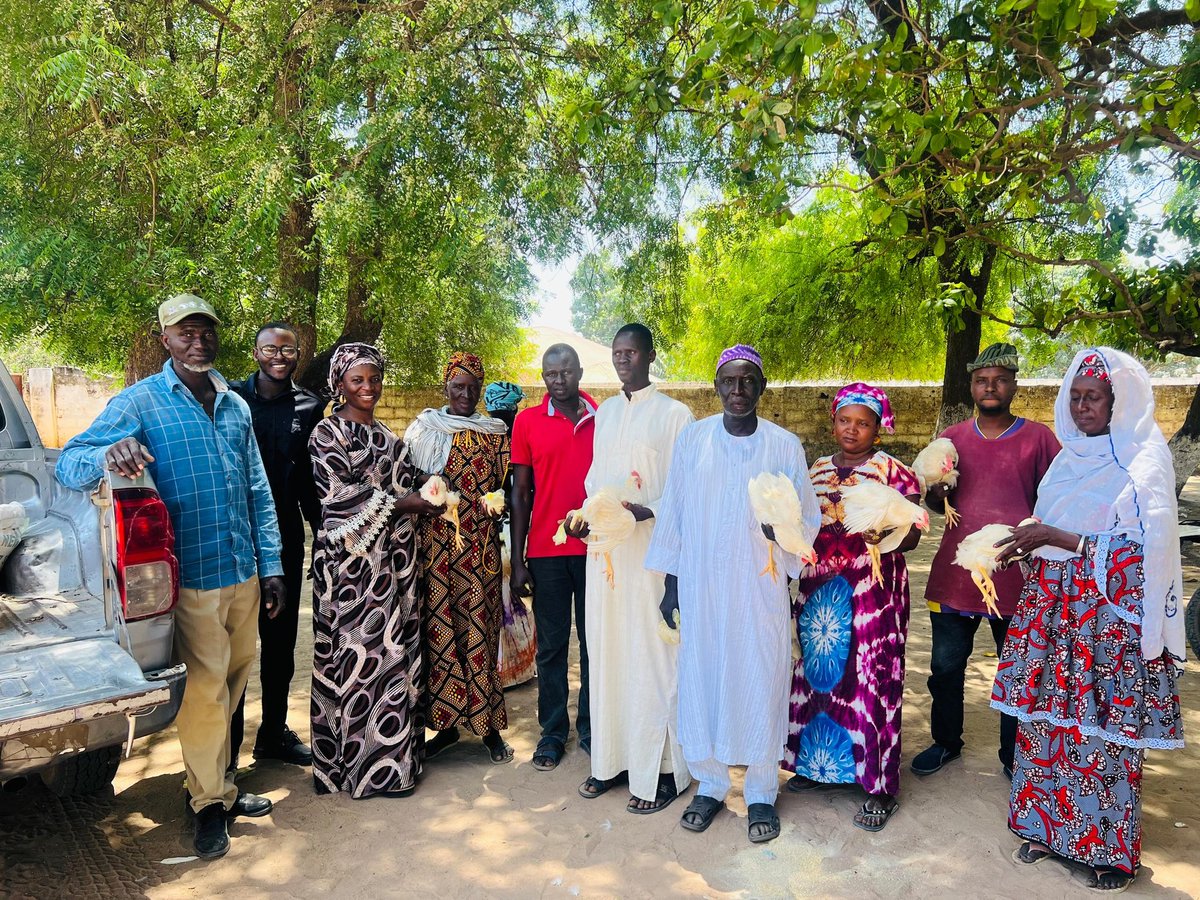 P2P2rs's tweet photo. @P2P2rs, in collaboration with d Dept of Livestock Services has expanded its cockerel exchange program in  LRR &amp; WCR, distributing a total of 2,975 cockerels benefiting women &amp; youth.The initiative is part of plans to distribute 15,000 cockerels in 5yrs.

https://t.co/8wdpzGkE1w https://t.co/LspchloBkR