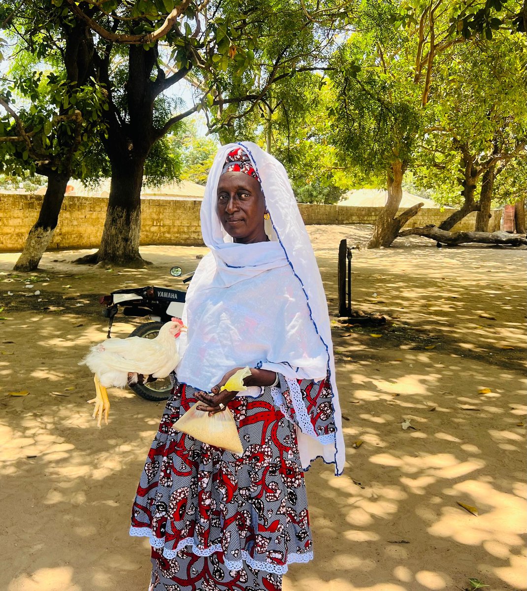 P2P2rs's tweet photo. @P2P2rs, in collaboration with d Dept of Livestock Services has expanded its cockerel exchange program in  LRR &amp; WCR, distributing a total of 2,975 cockerels benefiting women &amp; youth.The initiative is part of plans to distribute 15,000 cockerels in 5yrs.

https://t.co/8wdpzGkE1w https://t.co/LspchloBkR