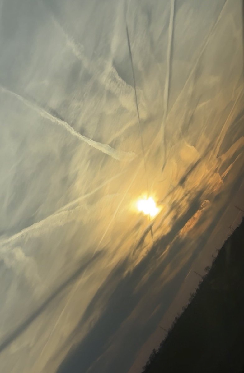 𝚂𝚑𝚊𝚢 tweet media