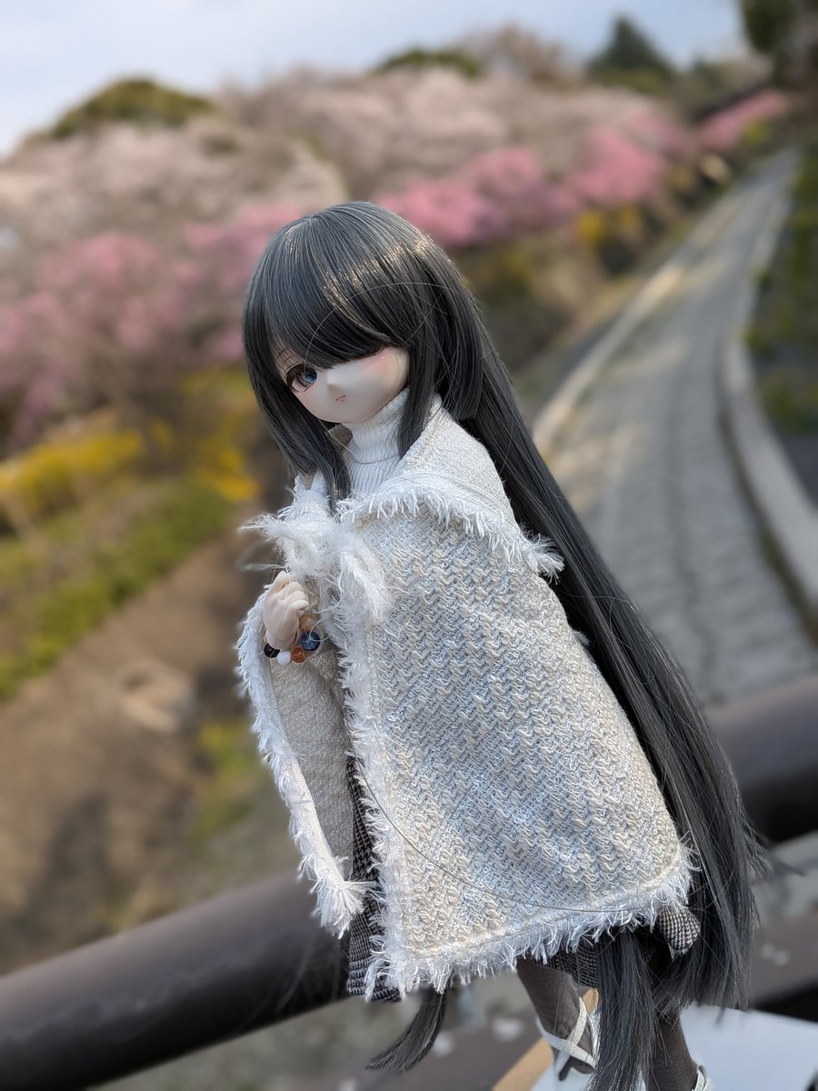 黒百合『ちゃん』 tweet media