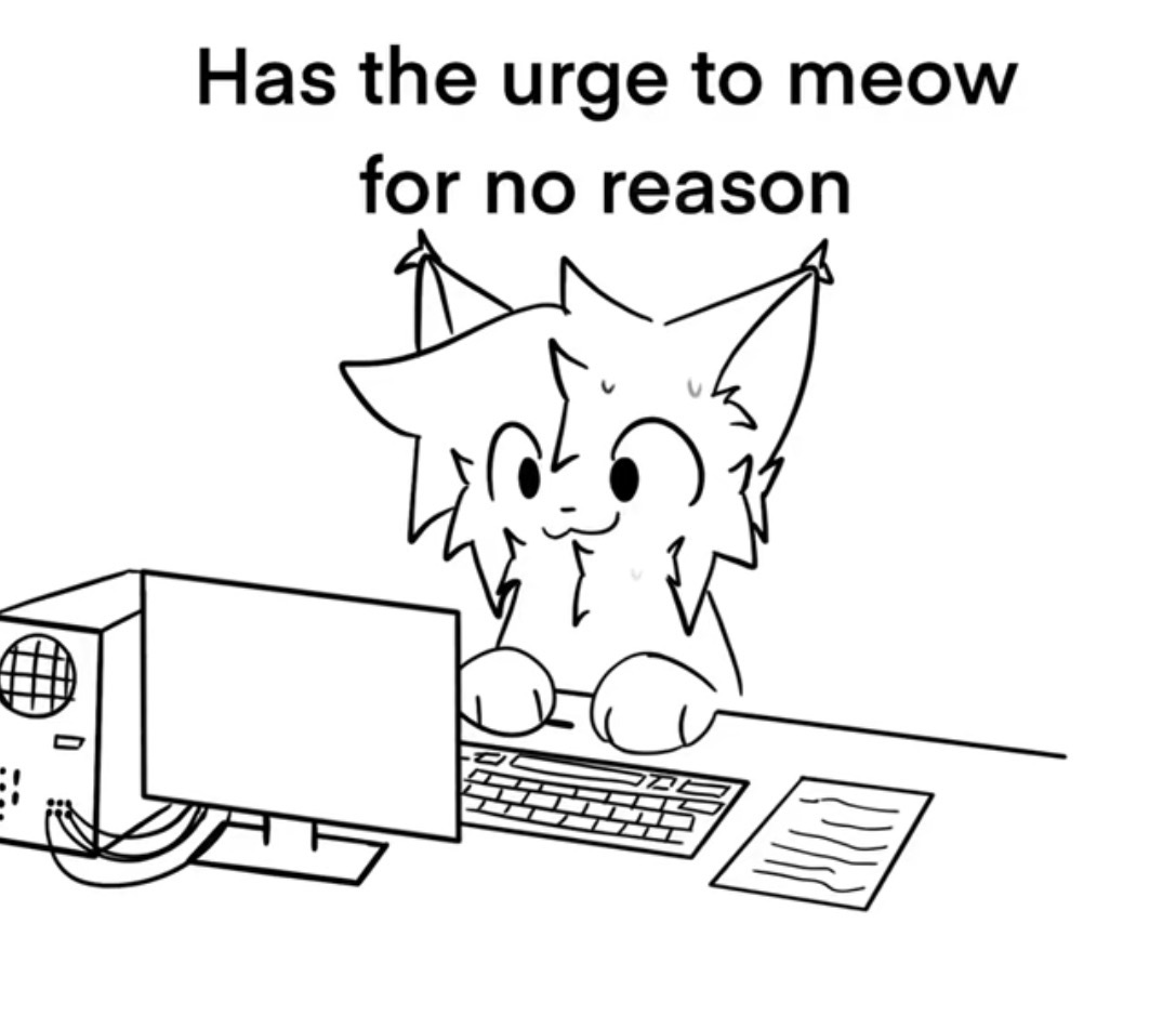 a ౨ৎ⋆˚。🌸 tweet media