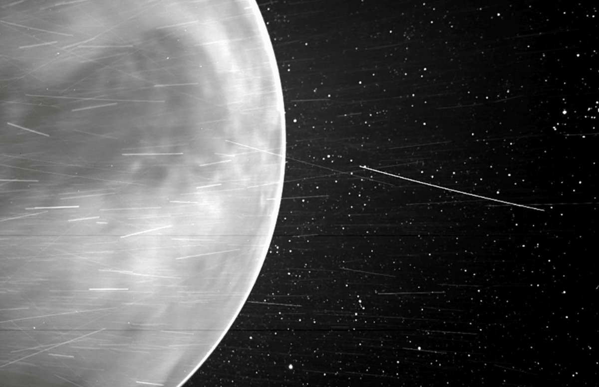 ¿Y si la vida en la Tierra empezó en Venus? Es físicamente posible. 🚀✨ leopoldofalcon.short.gy/DVPY37