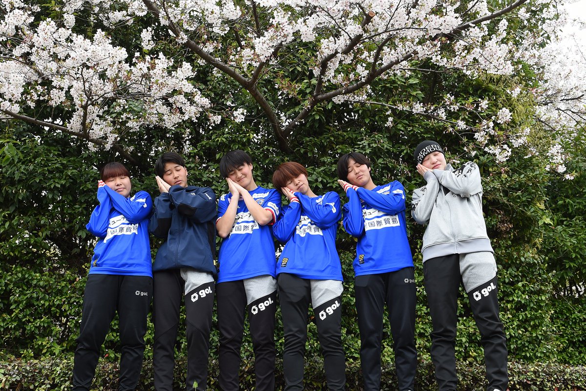 南葛SC WINGS tweet media