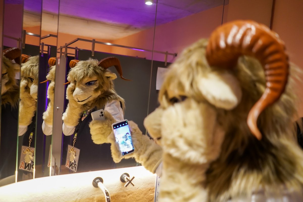 Pina ピナ 🔜 Megaplex? tweet media