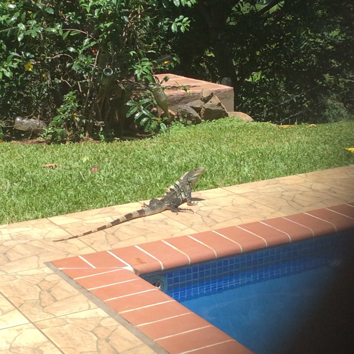 Verif¡ed Mark 💩 tweet media