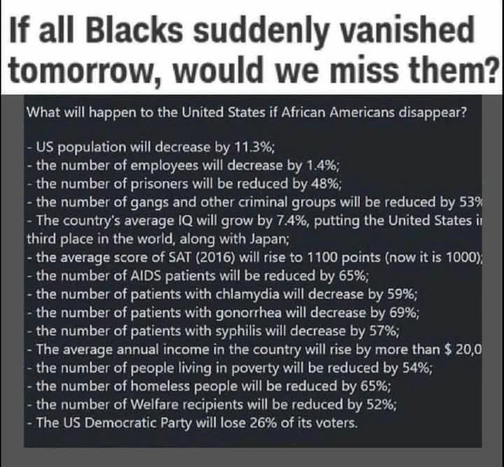 SECRET AGENT ELF tweet media