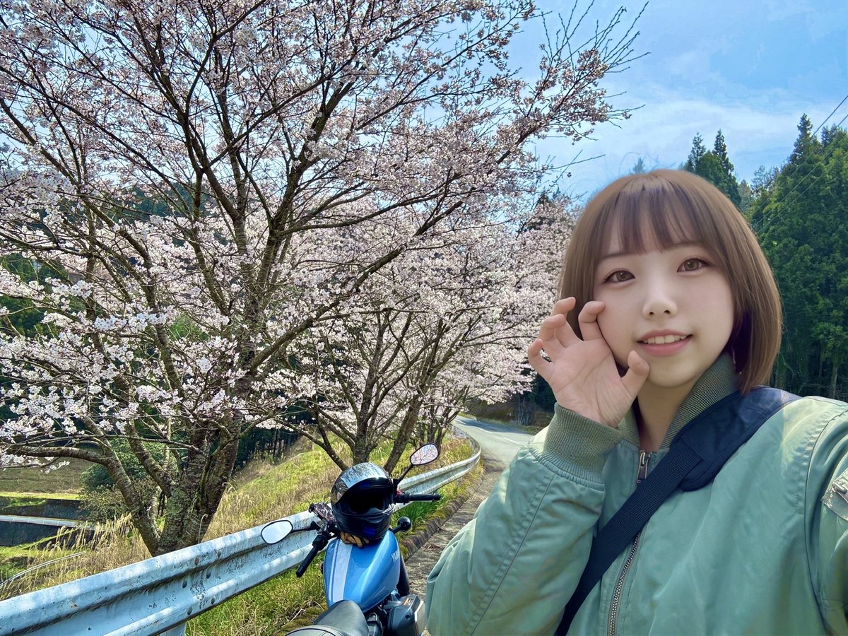 まる。 tweet media