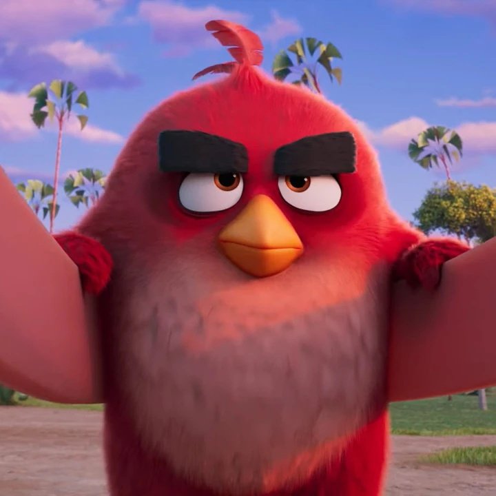 Angry Birds 3 Movie News tweet media