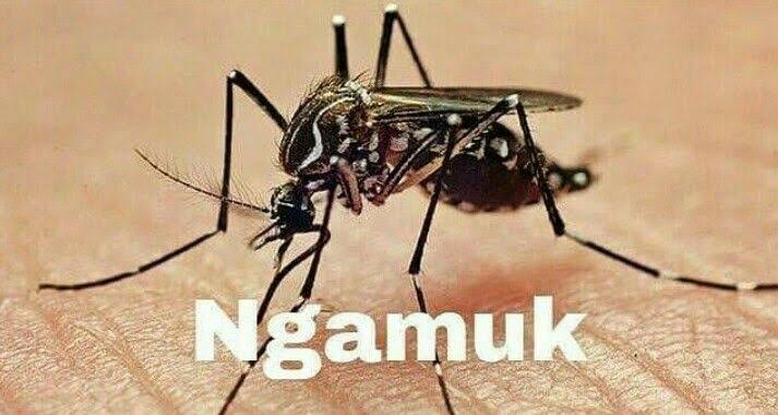 7Eliaz Prabowo Jokowi 🫶בחסד tweet media