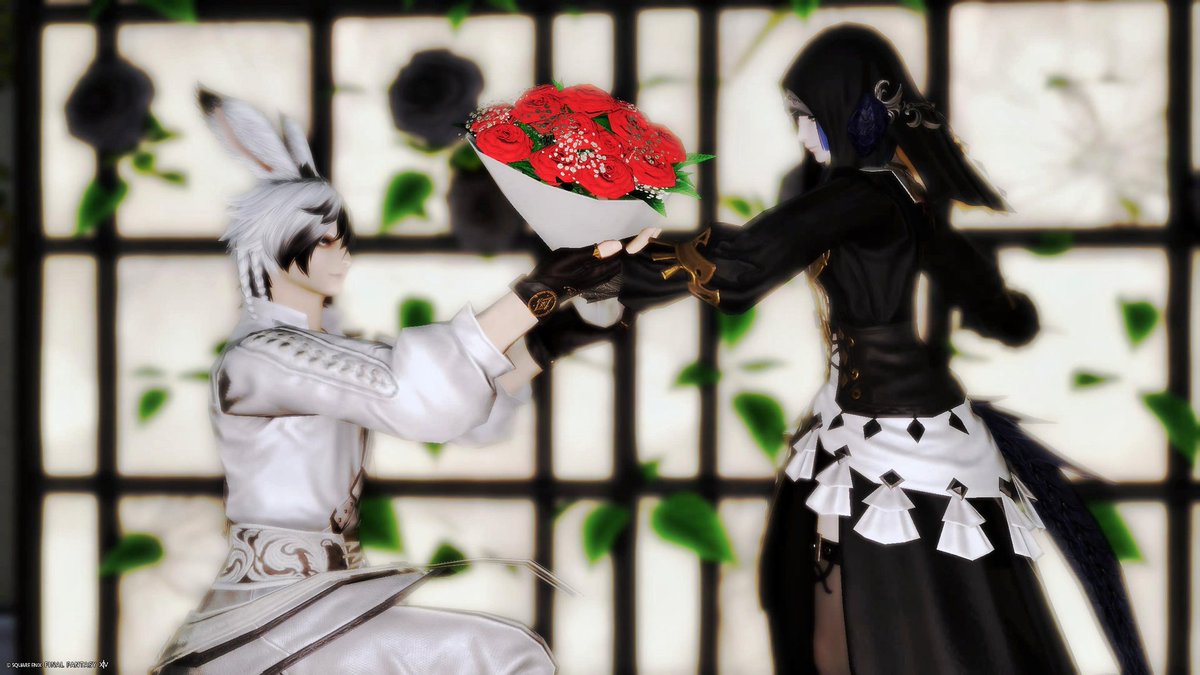 (⁠ ⁠◜⁠‿⁠◝⁠ ⁠)⁠十時 tweet media