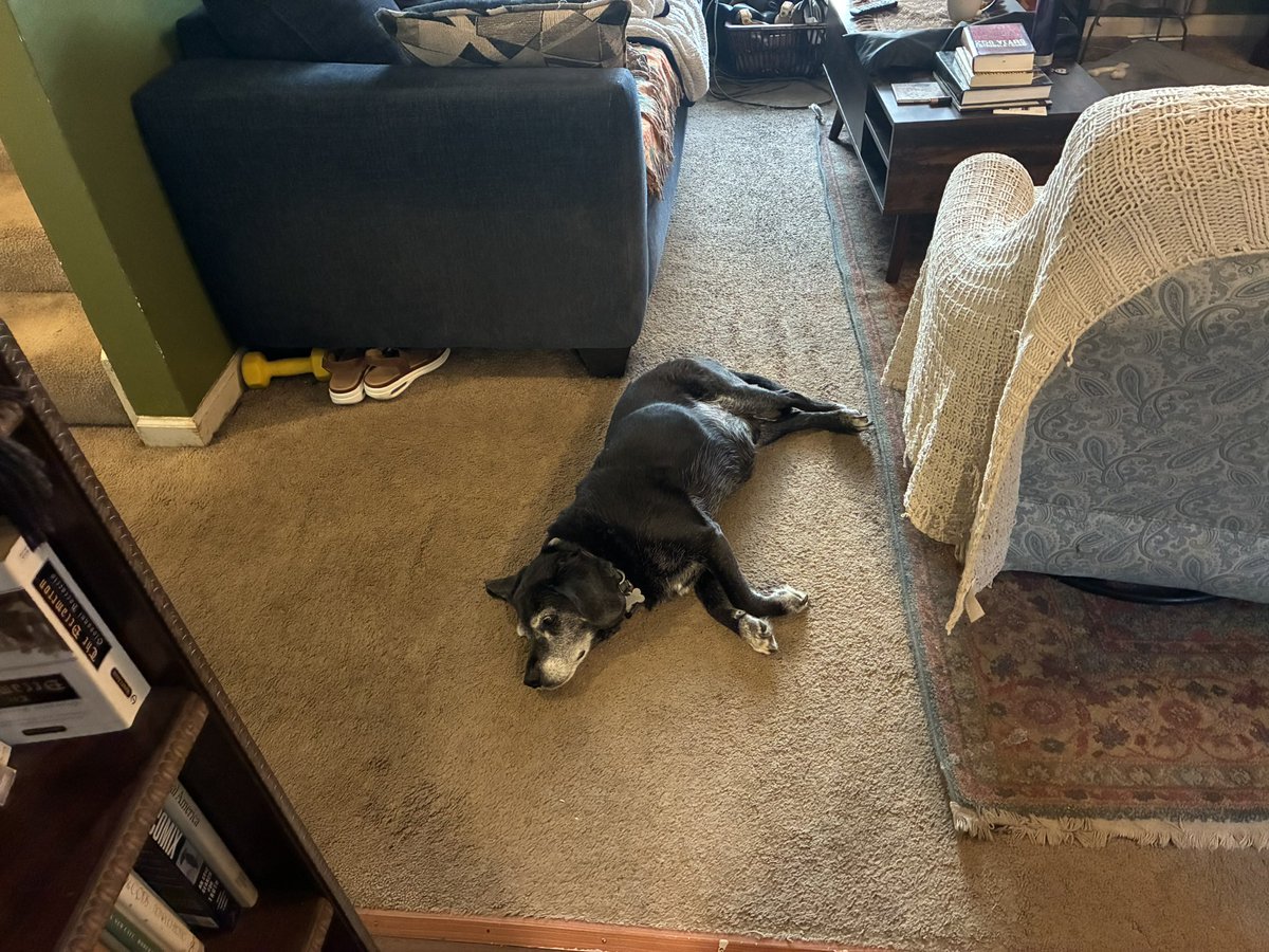 Yuki Nakao tweet media