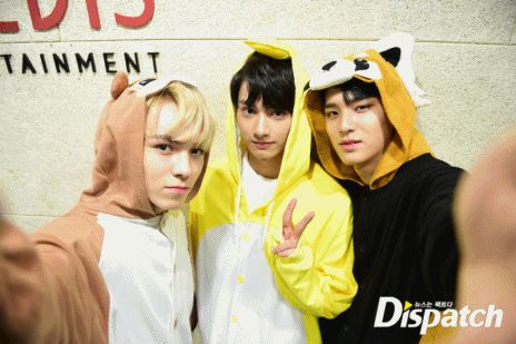 ✧ star tweet media