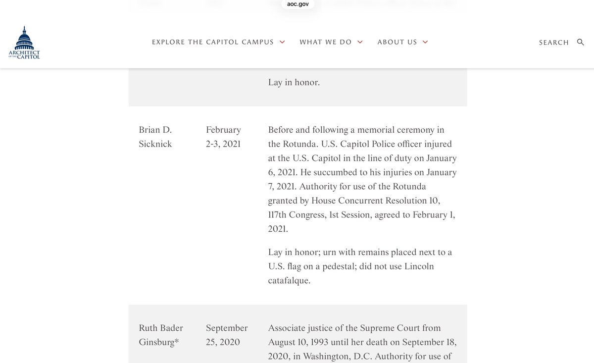 SlothBear 🇺🇸 tweet media