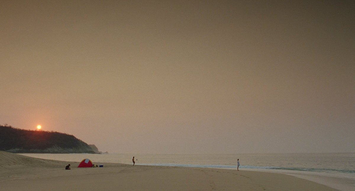 Algo Cinefila 👩🦰 tweet media