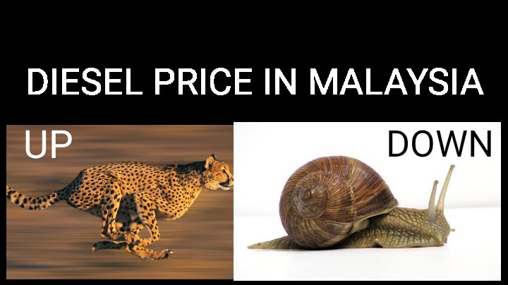 Jen Dinalis tweet media