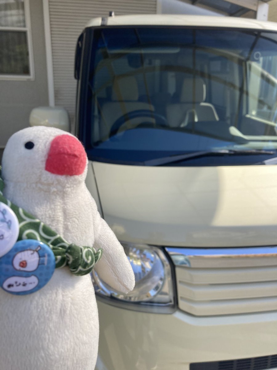 ぴよた tweet media