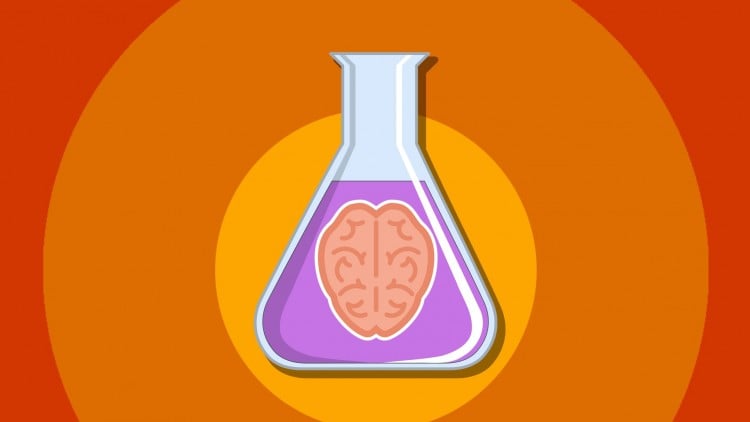 comidoc's tweet image. 5 Amazing Psychology Experiments

⏱️ 1.2 hours
⭐ 4.49
👥 56,966
🔄 Oct 2023
💰 FREE

comidoc.com/udemy/5-amazin…

#psychology #socialscience #humanbehavior #udemy