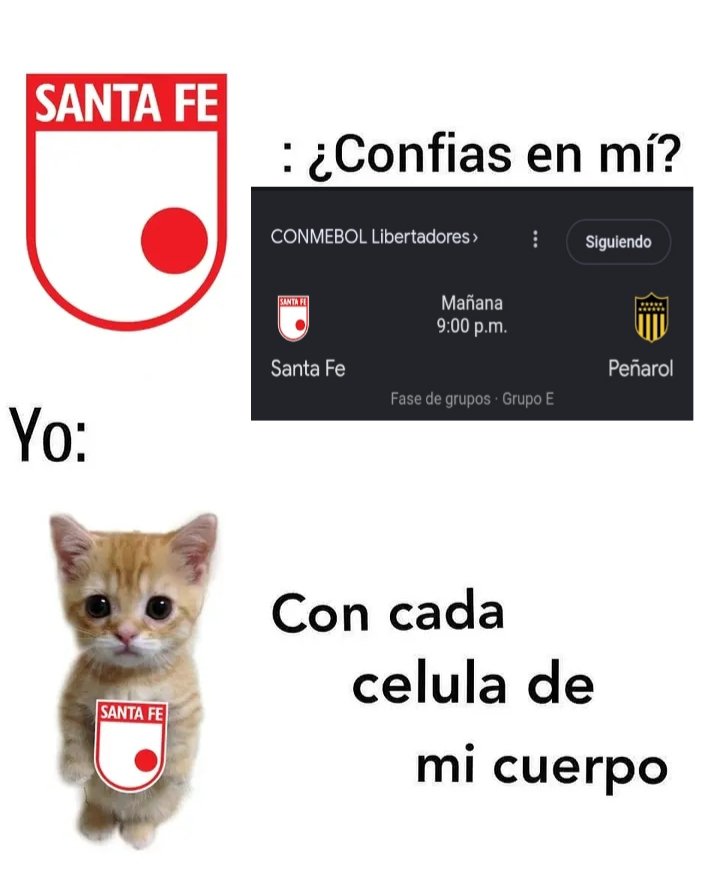 Daniel 10 ⭐ tweet media