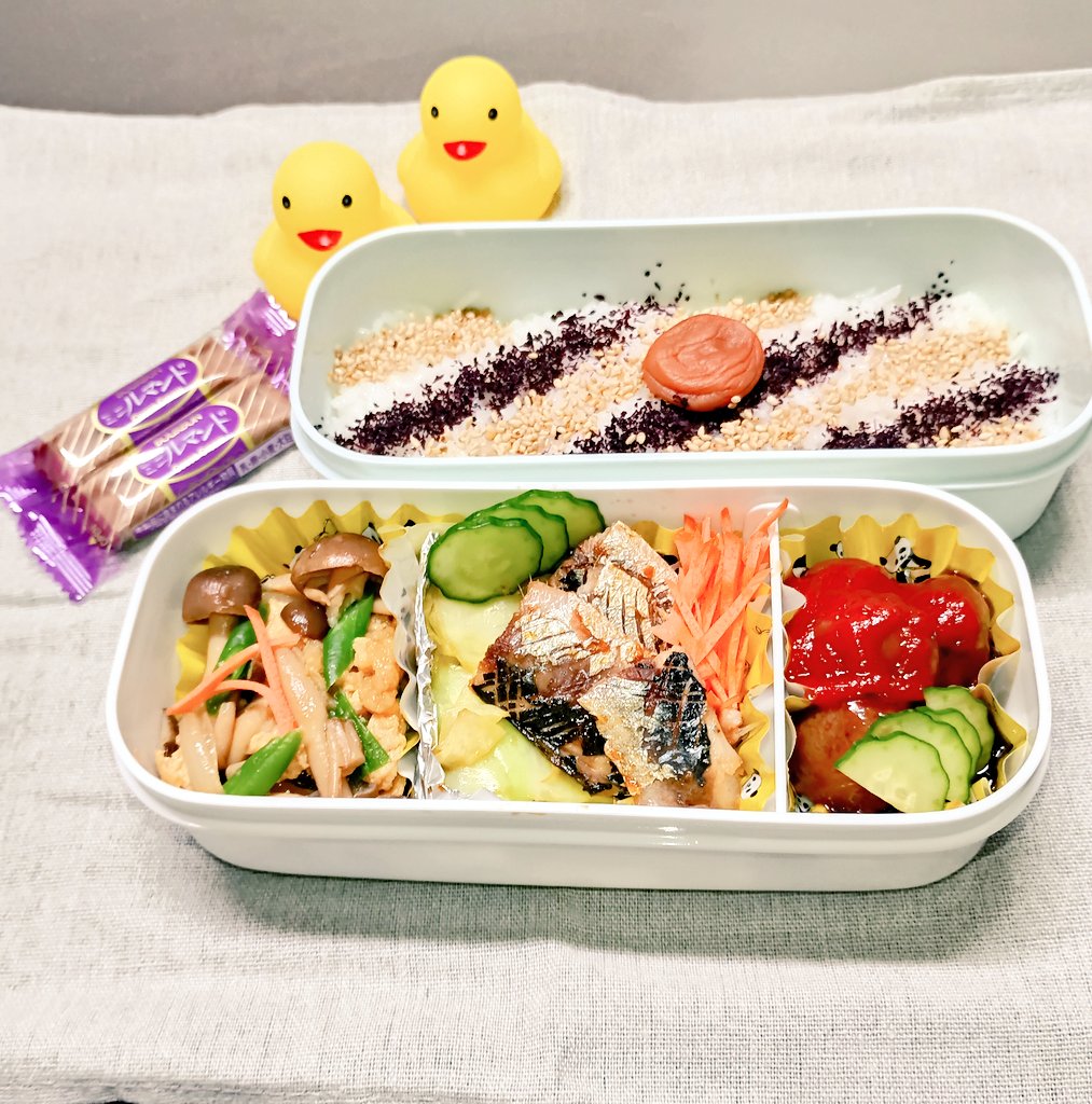 ゴリクマ🐣 tweet media