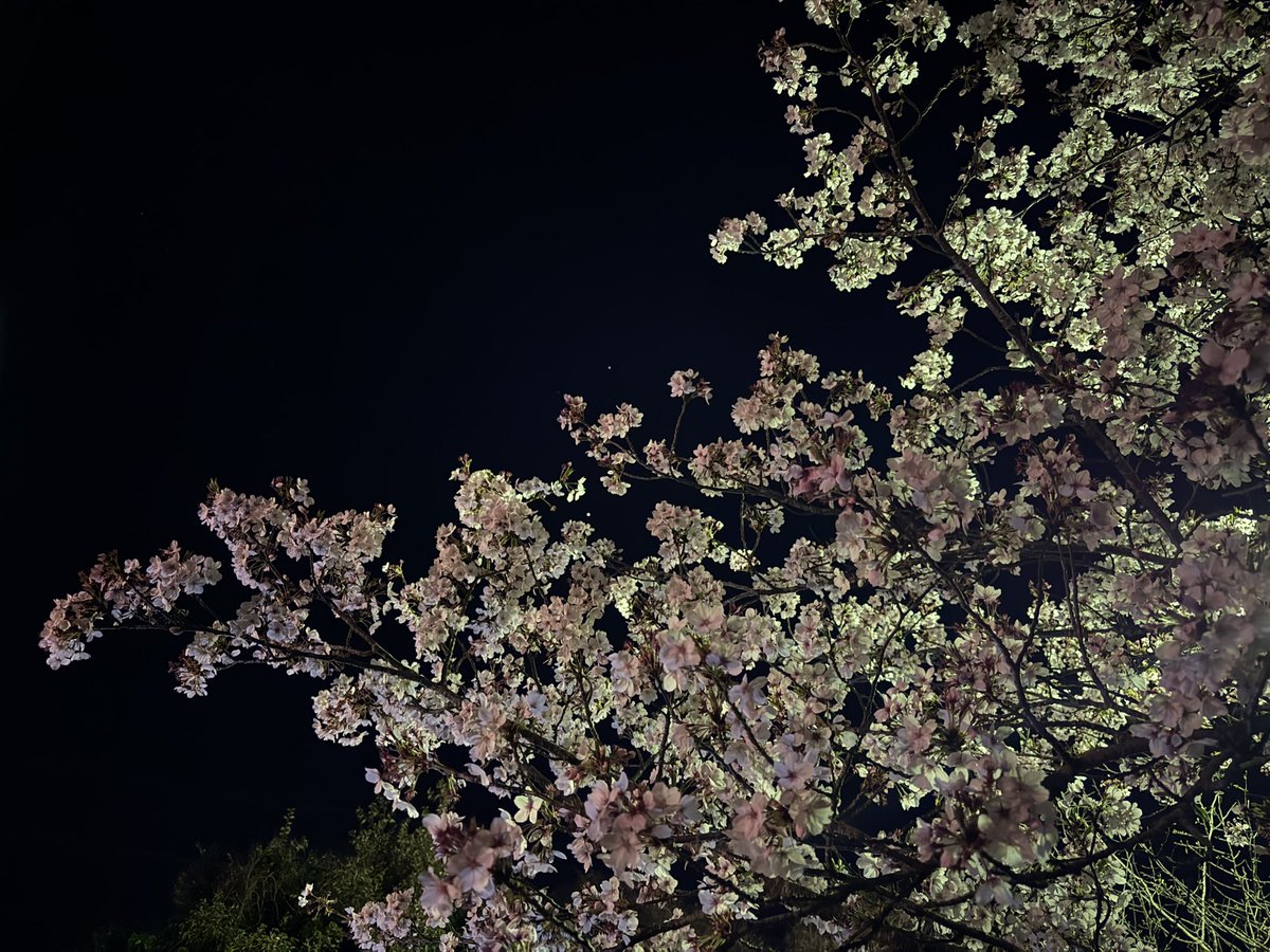 石川典行 tweet media