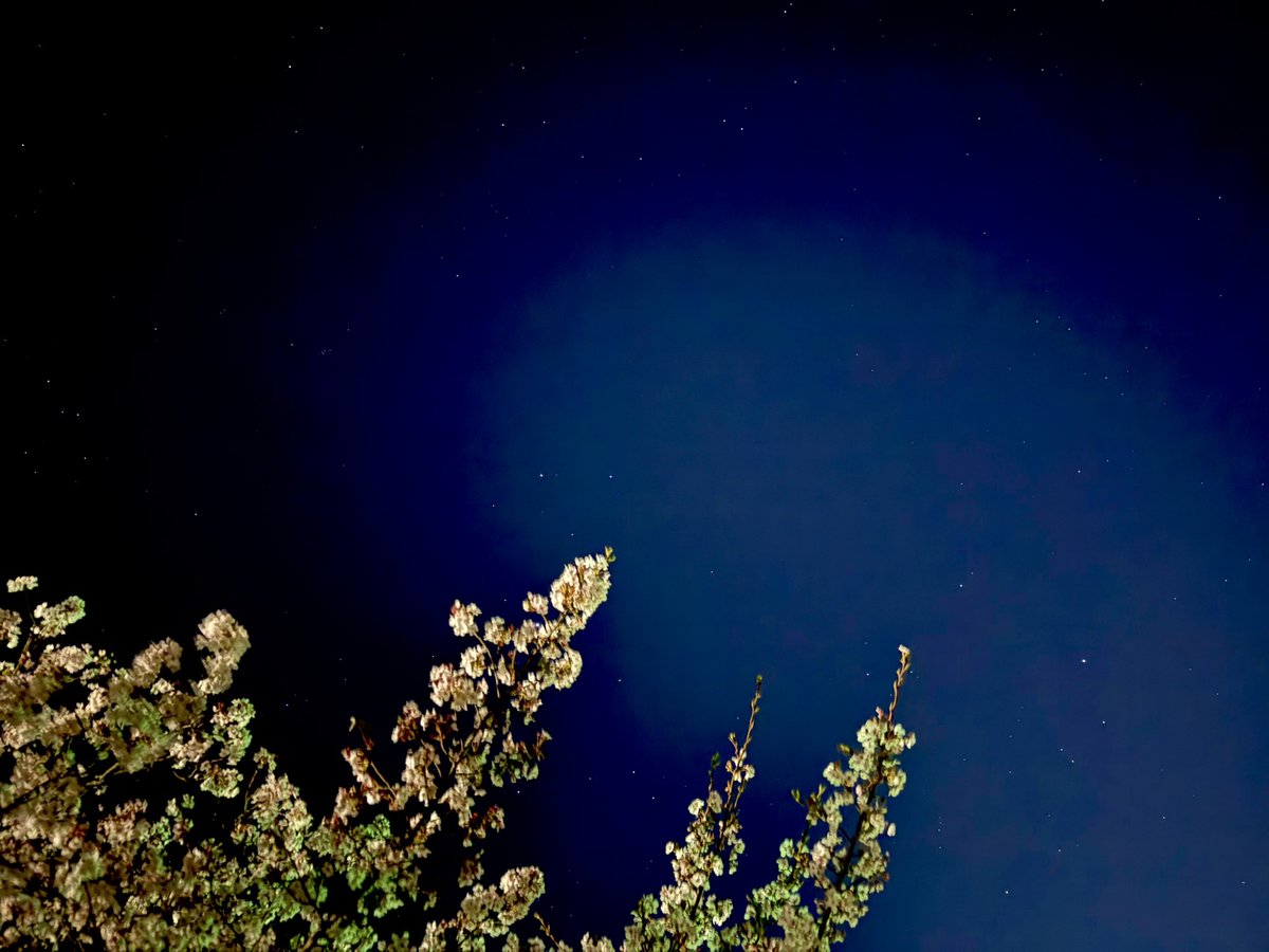 石川典行 tweet media