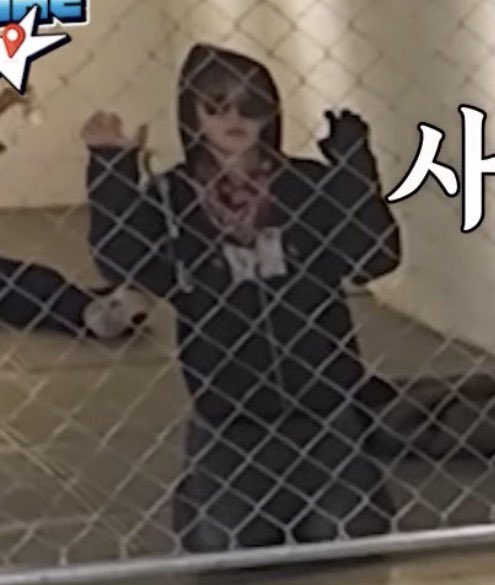 냥냥이 tweet media