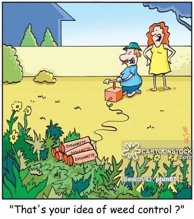 Steve 🕊 tweet media