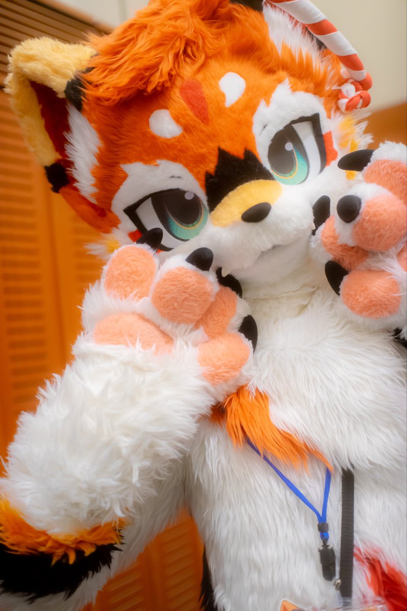 晴空/Seikuu🇯🇵▶▷▶UTFG tweet media