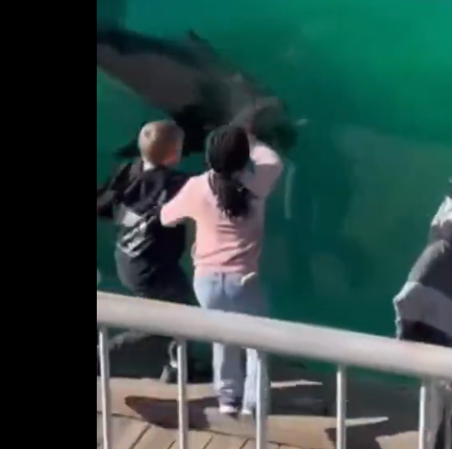 AllRoadsLeadToRomeX tweet media