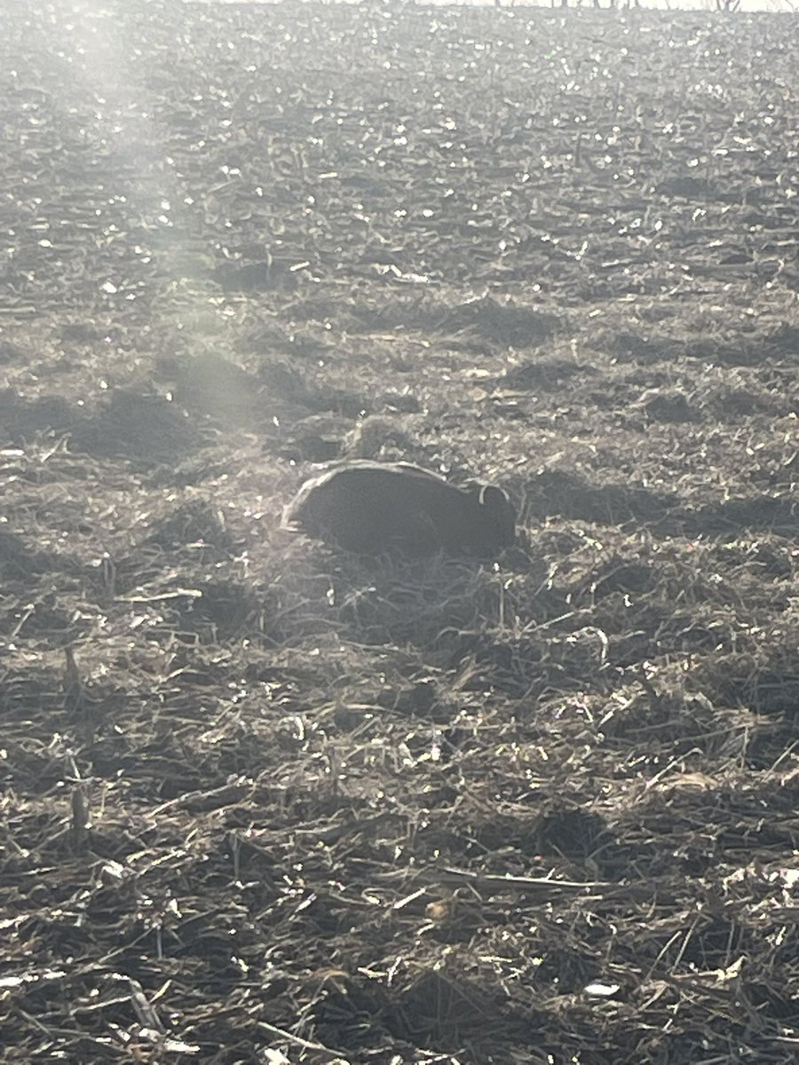 ~605~ ShittalkerFFS tweet media