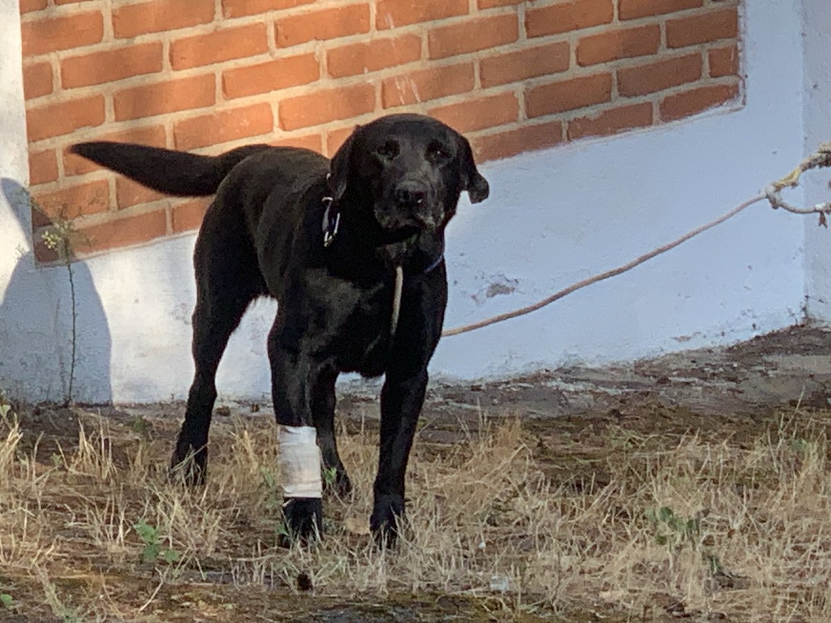 Ricardo Ravelo tweet media