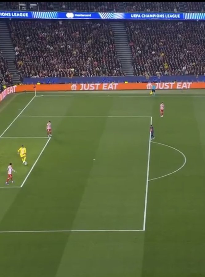 David B. R. tweet media