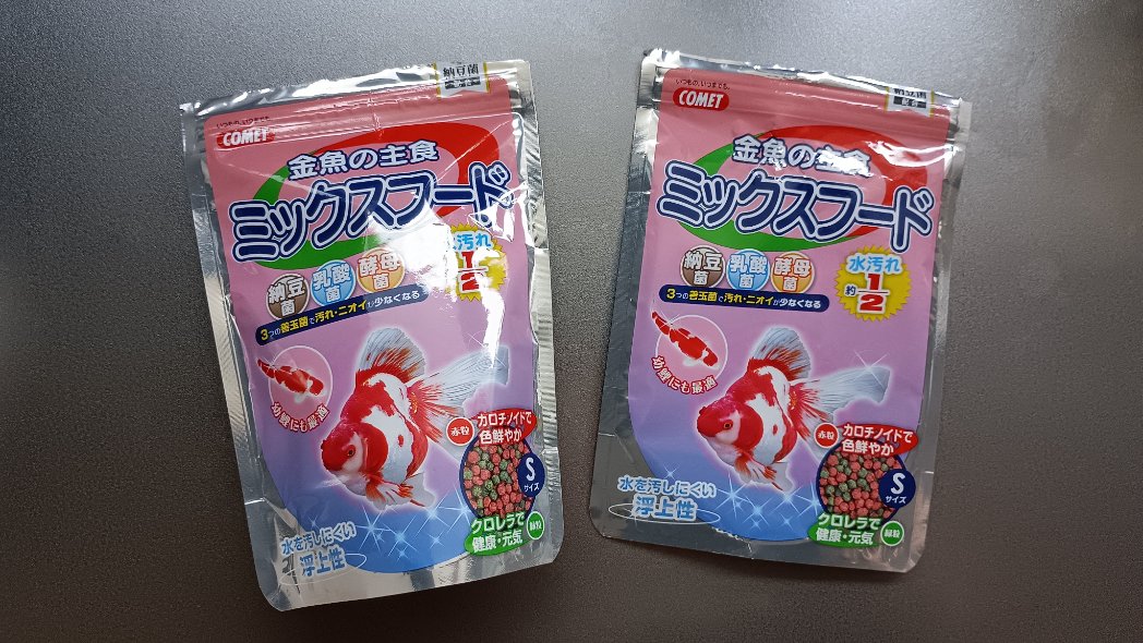 redcrazycat's tweet photo. ☀
餌を一袋食べたから新しいのを開封した

前の餌は昨年の8月に購入してたから1年は持ってない
冬の間もヒーターで17℃ぐらいで、しっかり餌食べてたからな
金魚自体も20センチぐらいあるし

イトスイの金魚の主食ミックスフード
ってのを使ってる

消化不良起こさないしオススメ

#今日の琉金 https://t.co/eXnGgCaBFc