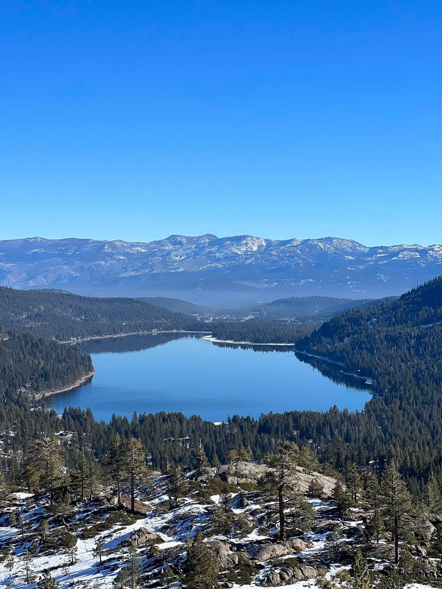 Charlie 2.0 tweet media