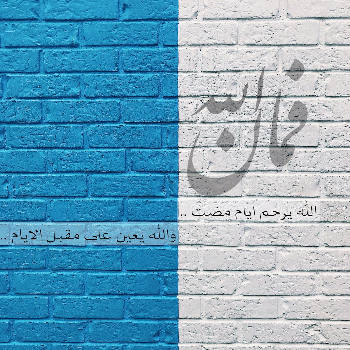 🄼🄾🄷🄰🄼🄼🄴🄳 tweet media