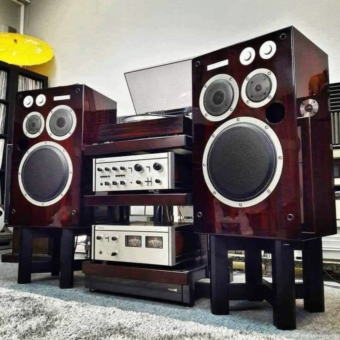 Michael Kelly tweet media