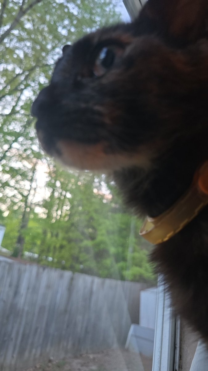 Nirvanazyn tweet media