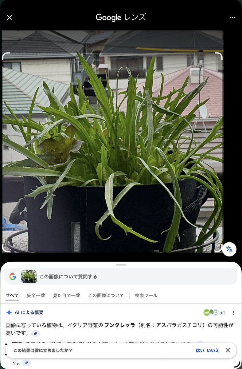 mika.mika tweet media