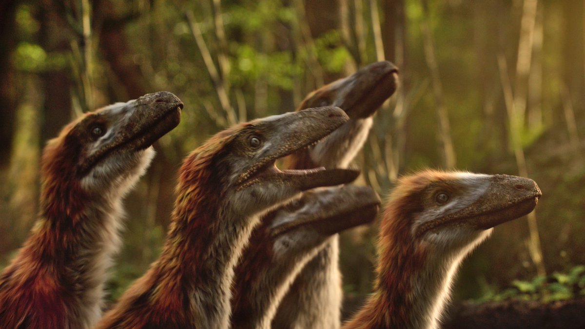 raftingzalmoxes's tweet image. #LifeOnOurPlanet #TheDinosaurs
Some cute rexlings to brighten your day!