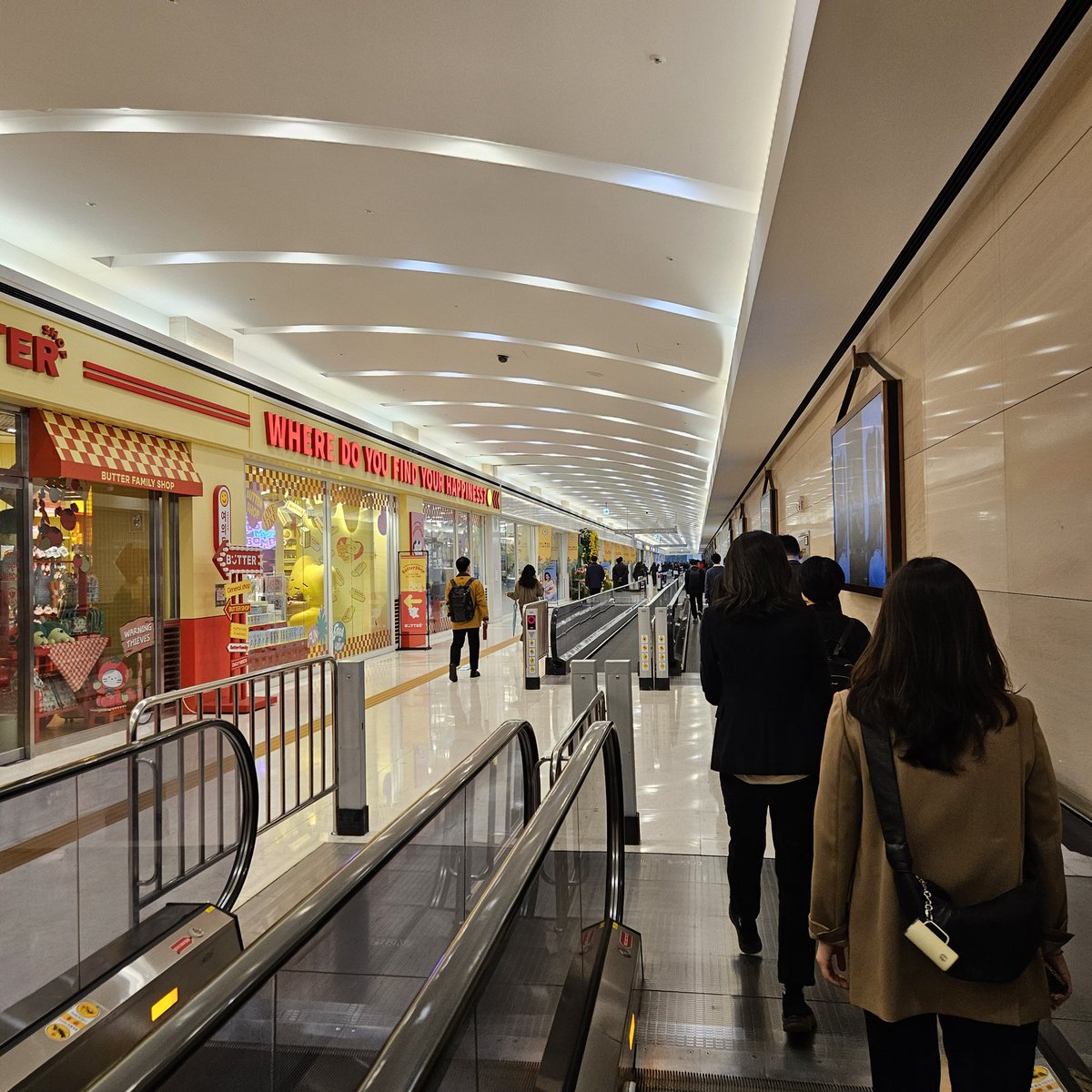 대한아스테룸플리დ (대플) tweet media