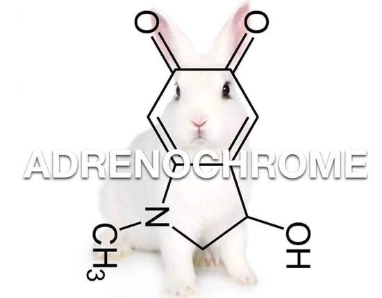 rabbitholebot tweet media