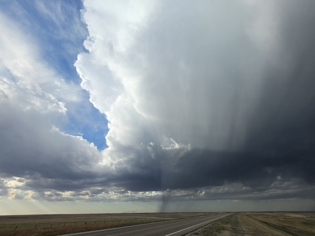 Jake Thompson tweet media