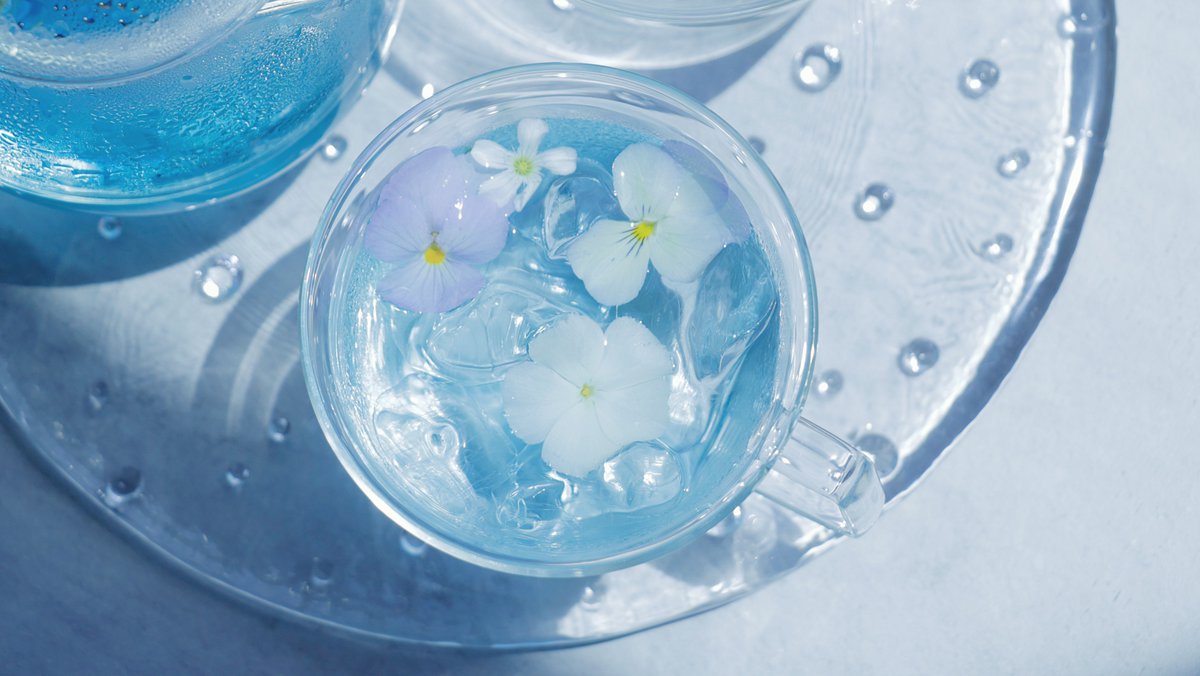 tomei/透明愛好家 tweet media