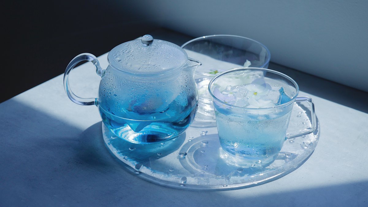 tomei/透明愛好家 tweet media